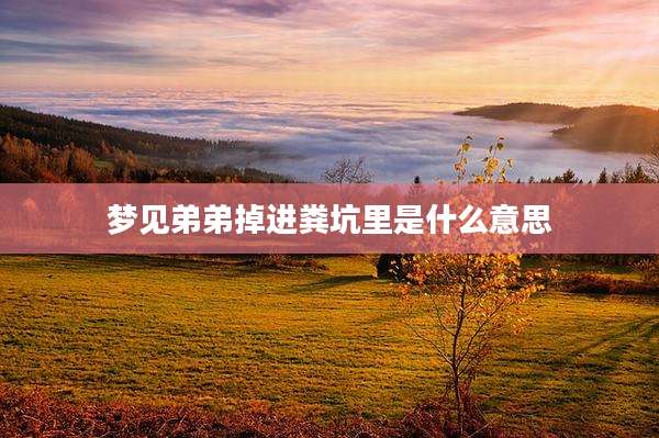 梦见弟弟掉进粪坑里是什么意思
