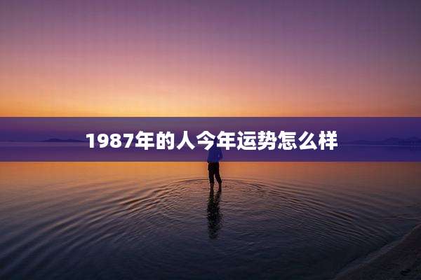 1987年的人今年运势怎么样