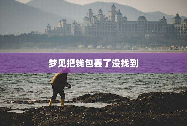 梦见把钱包丢了没找到