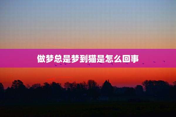 做梦总是梦到猫是怎么回事