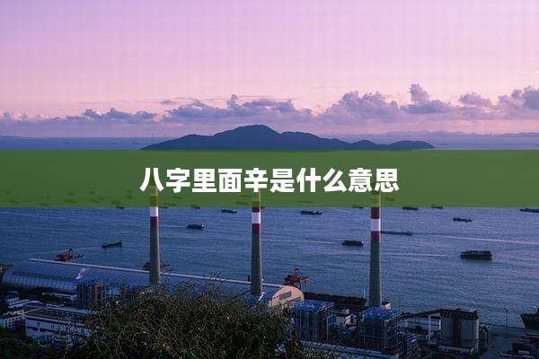 八字里面辛是什么意思