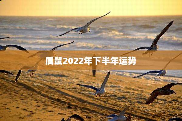 属鼠2022年下半年运势