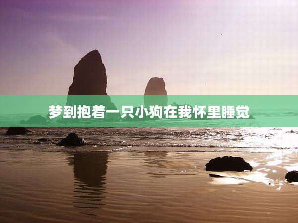 梦到抱着一只小狗在我怀里睡觉