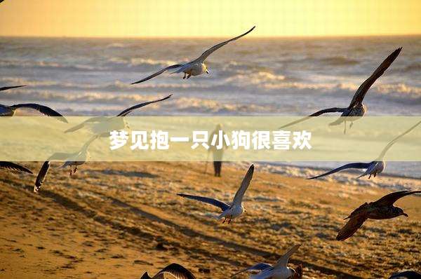 梦见抱一只小狗很喜欢
