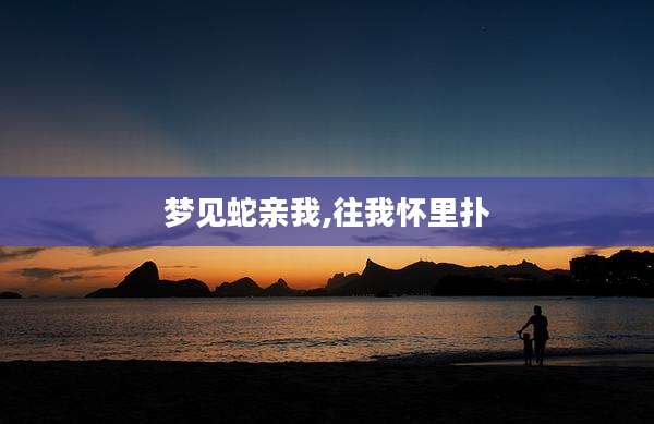 梦见蛇亲我,往我怀里扑