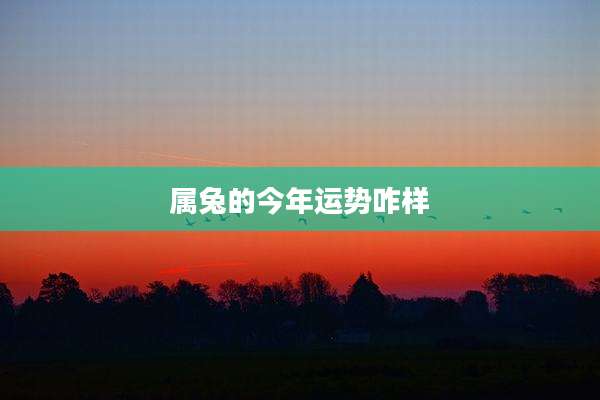 属兔的今年运势咋样
