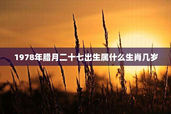 1978年腊月二十七出生属什么生肖几岁