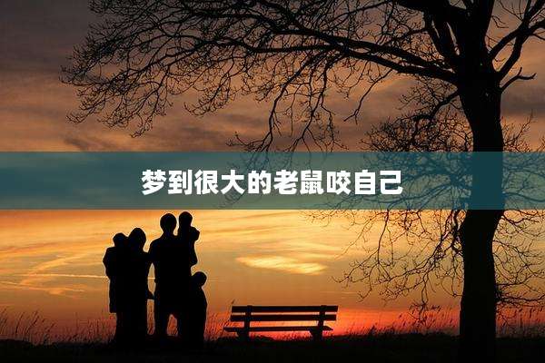 梦到很大的老鼠咬自己