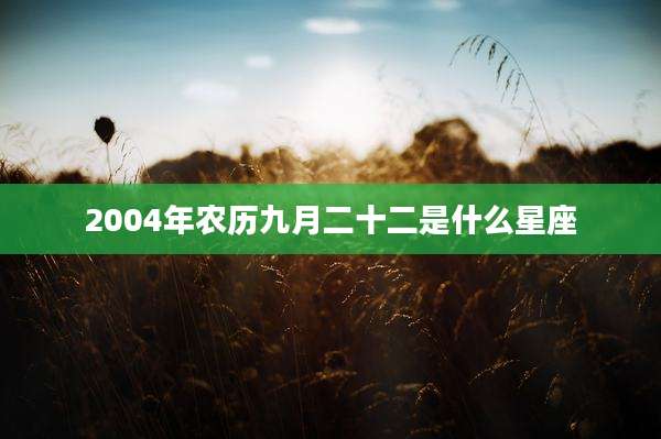 2004年农历九月二十二是什么星座