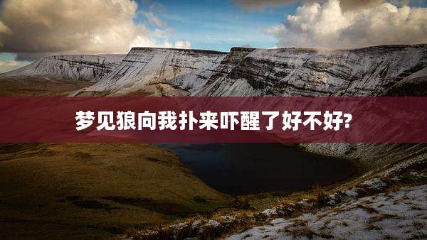梦见狼向我扑来吓醒了好不好?