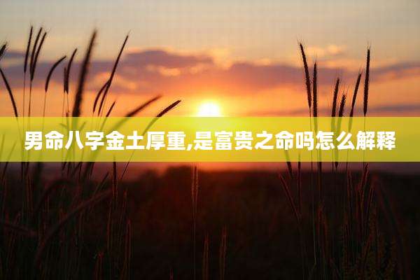 男命八字金土厚重,是富贵之命吗怎么解释