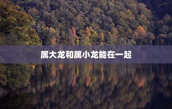 属大龙和属小龙能在一起