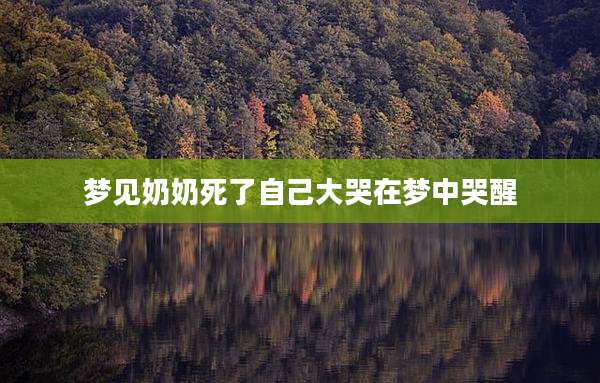 梦见奶奶死了自己大哭在梦中哭醒