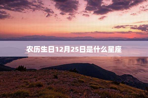 农历生日12月25日是什么星座