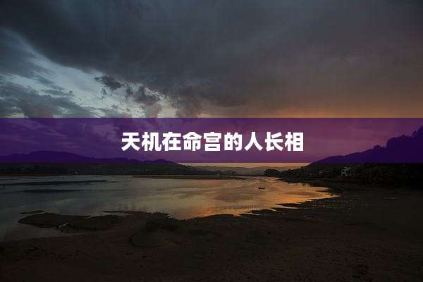 天机在命宫的人长相
