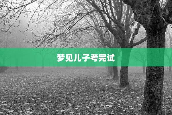 梦见儿子考完试