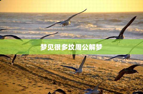 梦见很多坟周公解梦