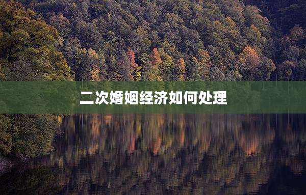 二次婚姻经济如何处理