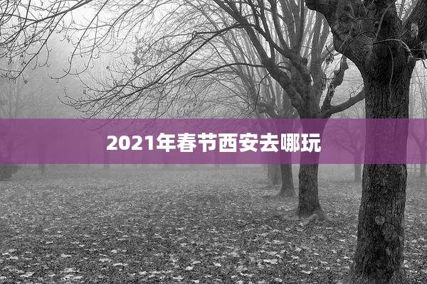 2021年春节西安去哪玩