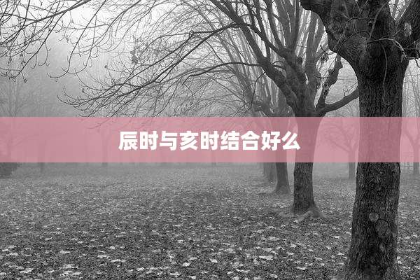 辰时与亥时结合好么
