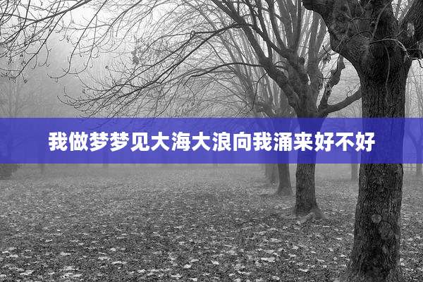 我做梦梦见大海大浪向我涌来好不好