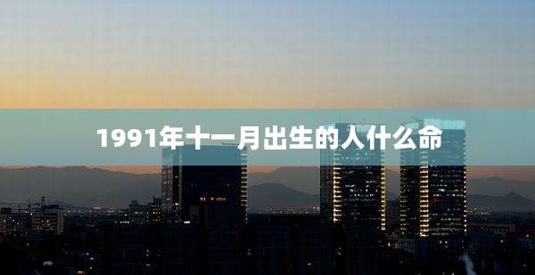 1991年十一月出生的人什么命