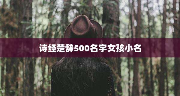 诗经楚辞500名字女孩小名