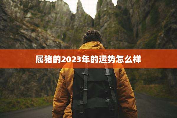属猪的2023年的运势怎么样