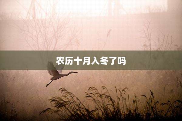 农历十月入冬了吗