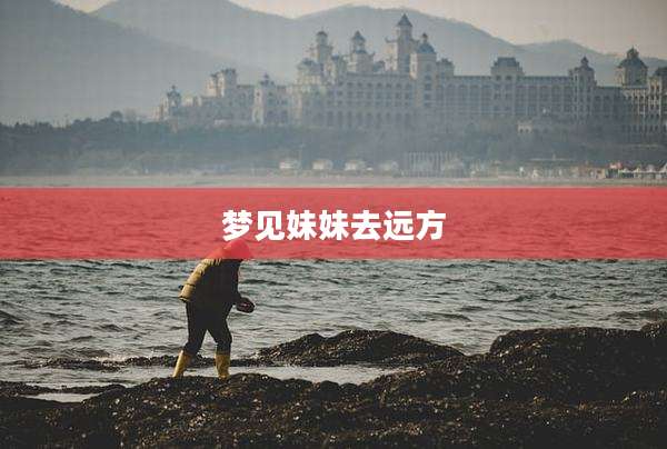 梦见妹妹去远方