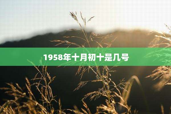1958年十月初十是几号