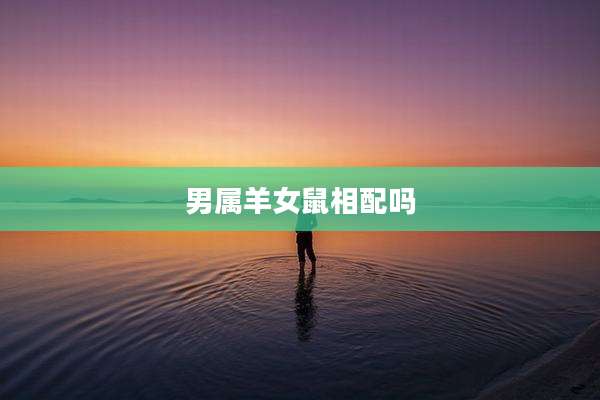 男属羊女鼠相配吗
