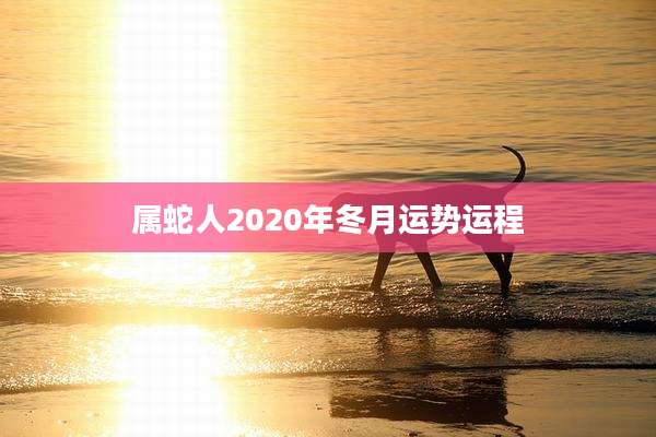 属蛇人2020年冬月运势运程