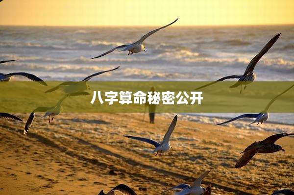 八字算命秘密公开