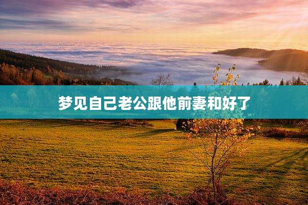 梦见自己老公跟他前妻和好了