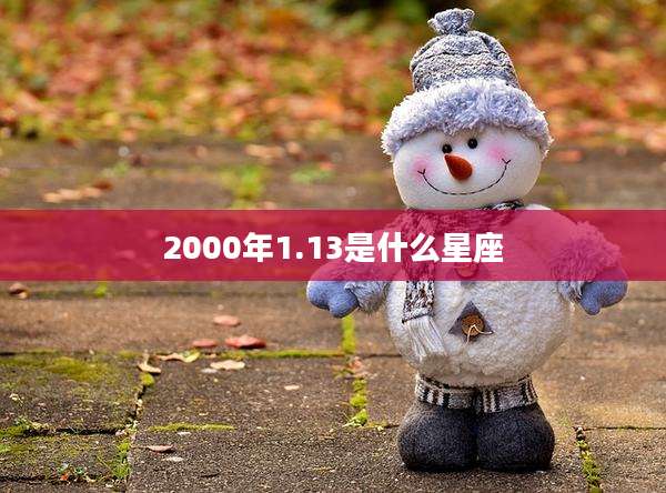 2000年1.13是什么星座