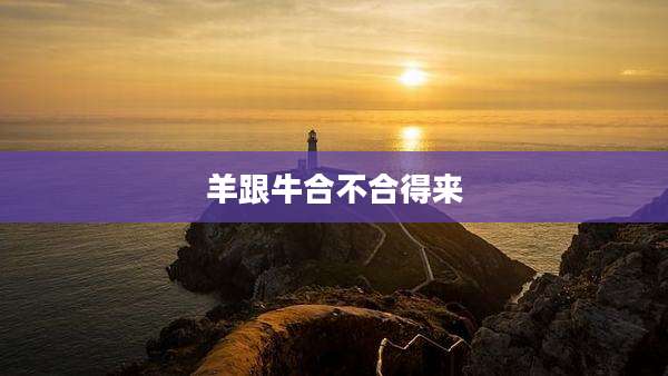 羊跟牛合不合得来
