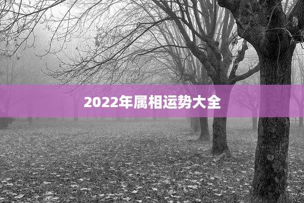 2022年属相运势大全