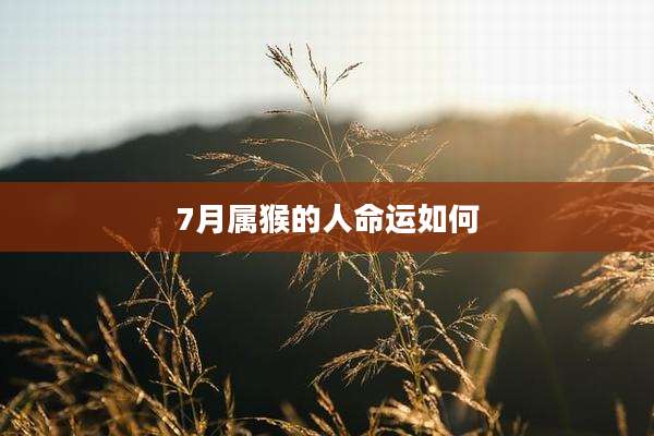 7月属猴的人命运如何
