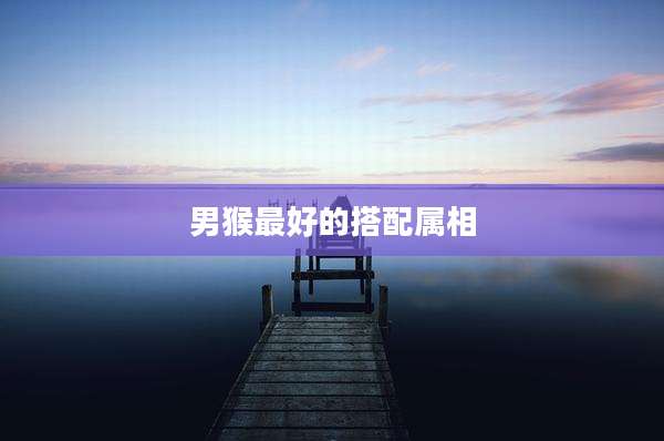 男猴最好的搭配属相