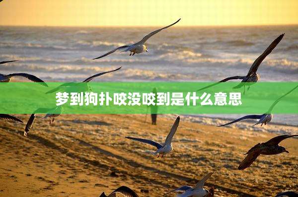 梦到狗扑咬没咬到是什么意思