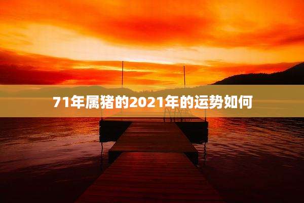 71年属猪的2021年的运势如何