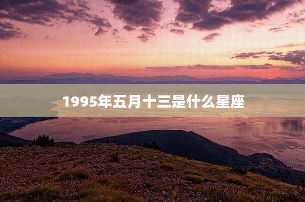 1995年五月十三是什么星座