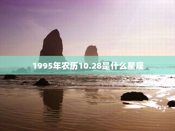 1995年农历10.28是什么星座