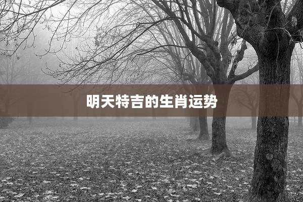 明天特吉的生肖运势