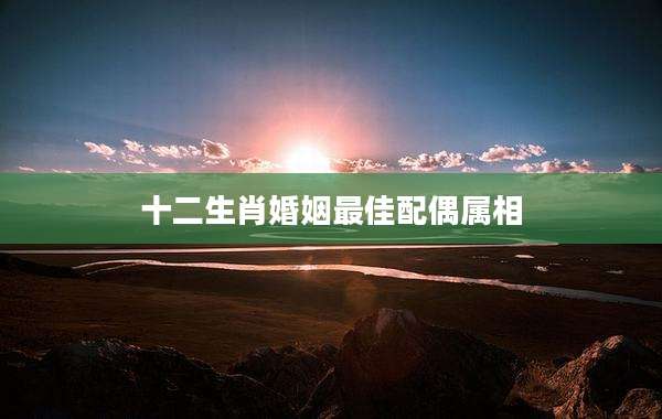 十二生肖婚姻最佳配偶属相