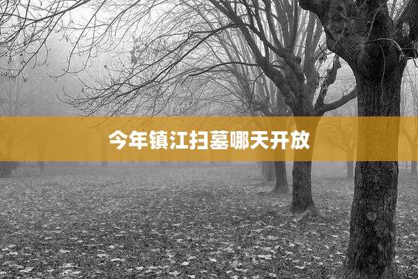 今年镇江扫墓哪天开放