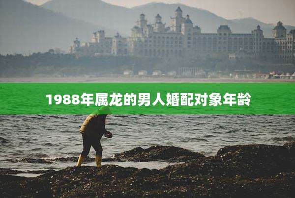 1988年属龙的男人婚配对象年龄