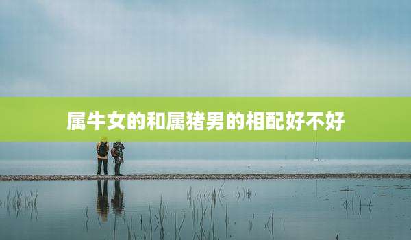 属牛女的和属猪男的相配好不好