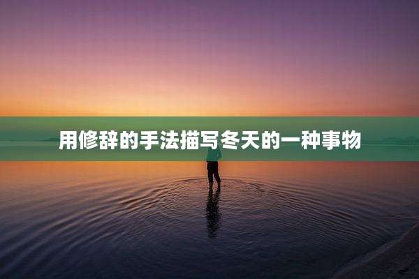 用修辞的手法描写冬天的一种事物